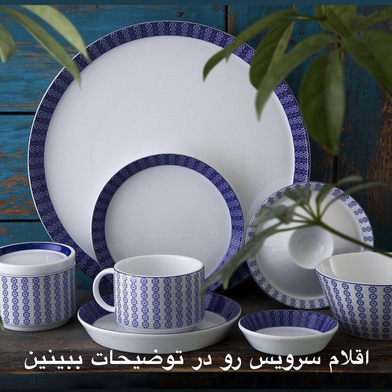 سرویس ۳۱ پارچه ریچل چینی زرین برند زی فرم اس شش نفره غذاخوری