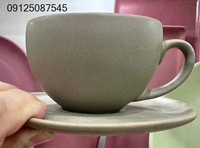 فنجان نعلبکی چایخوری دوریکا طرح مات پاستلی